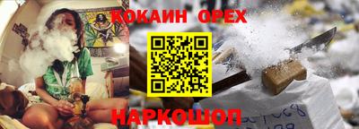 прущие грибы Нальчик