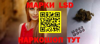 прущие грибы Нальчик
