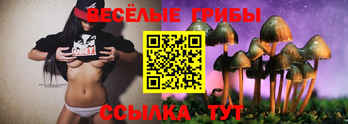 Таганрог  Галлюциногенные грибы мухоморы  Вход с VPN 